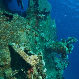 2019 03 11 23.09.18hamata uw18 10 dsc7692