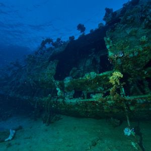 2019 03 11 23.09.18hamata uw18 10 dsc7889